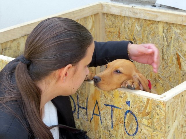 Megyei Közfoglalkoztatási Kiállítás 070